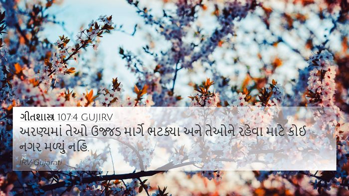 ગીતશાસ્ત્ર 107:4 GUJIRV Bible Verse Image