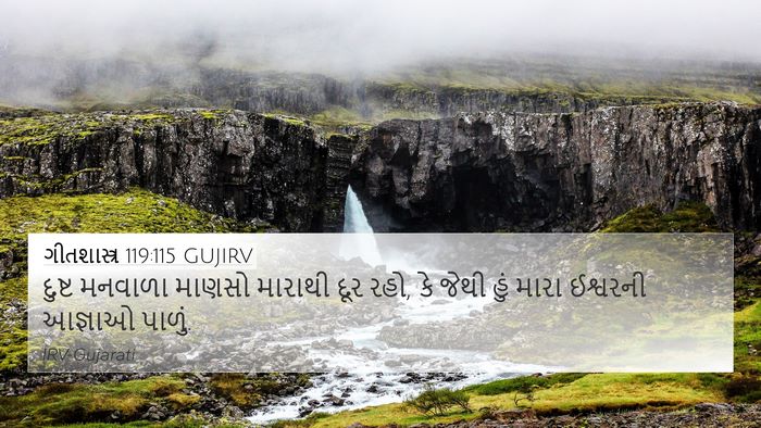 ગીતશાસ્ત્ર 119:115 GUJIRV Bible Verse Image