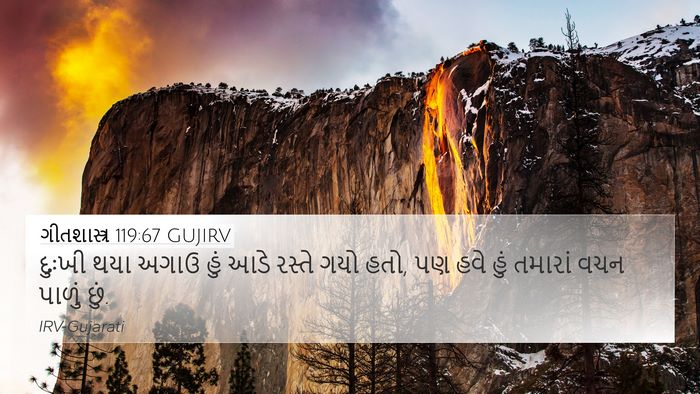 ગીતશાસ્ત્ર 119:67 GUJIRV Bible Verse Image