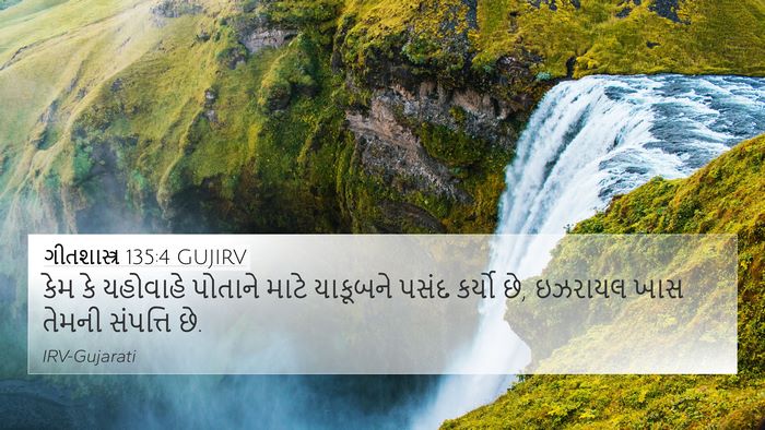 ગીતશાસ્ત્ર 135:4 GUJIRV Bible Verse Image
