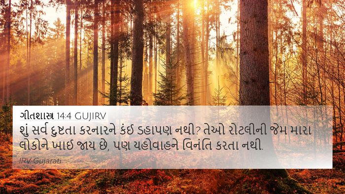 ગીતશાસ્ત્ર 14:4 GUJIRV Bible Verse Image