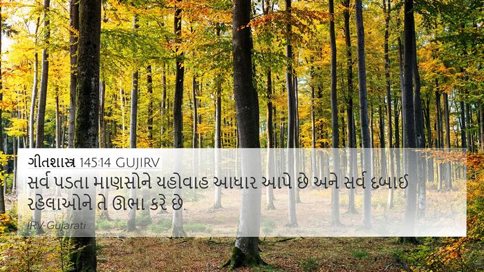 ગીતશાસ્ત્ર 145:14 GUJIRV Bible Verse Image