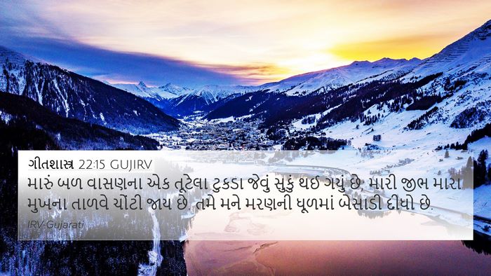 ગીતશાસ્ત્ર 22:15 GUJIRV Bible Verse Image