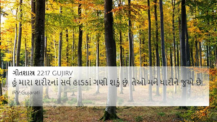 ગીતશાસ્ત્ર 22:17 GUJIRV Bible Verse Image