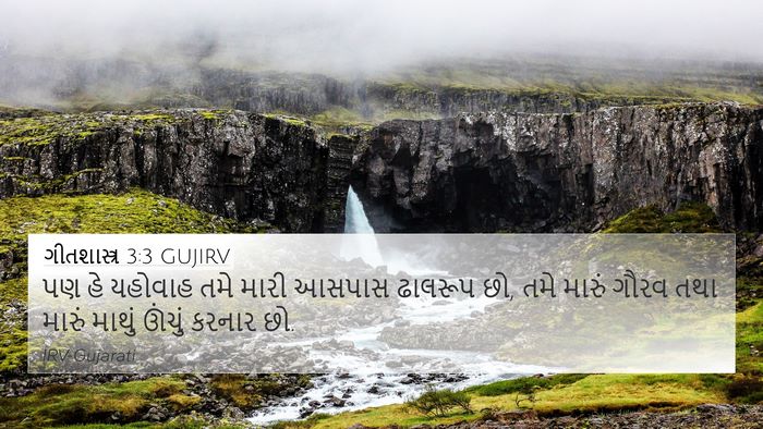 ગીતશાસ્ત્ર 3:3 GUJIRV Bible Verse Image