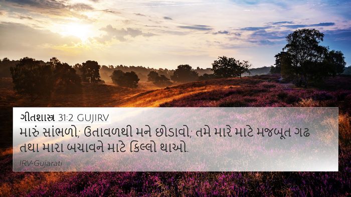 ગીતશાસ્ત્ર 31:2 GUJIRV Bible Verse Image