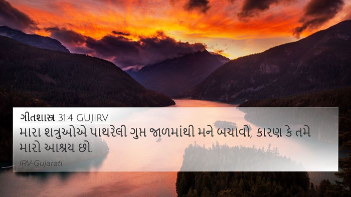 ગીતશાસ્ત્ર 31:4 GUJIRV Bible Verse Image
