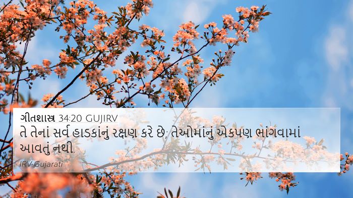 ગીતશાસ્ત્ર 34:20 GUJIRV Bible Verse Image