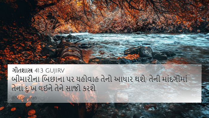 ગીતશાસ્ત્ર 41:3 GUJIRV Bible Verse Image