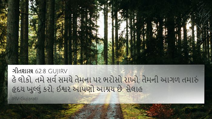 ગીતશાસ્ત્ર 62:8 GUJIRV Bible Verse Image
