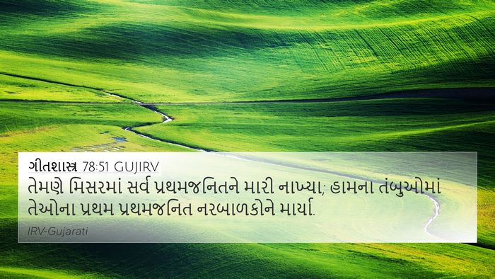 ગીતશાસ્ત્ર 78:51 GUJIRV Bible Verse Image