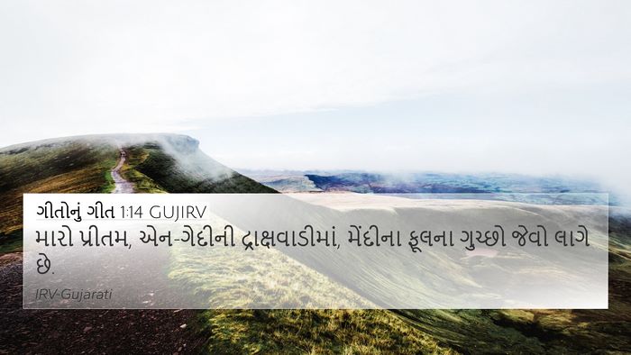 ગીતોનું ગીત 1:14 GUJIRV Bible Verse Image