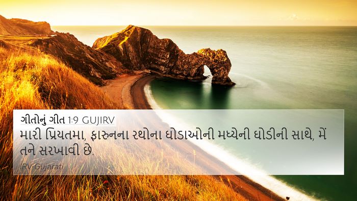 ગીતોનું ગીત 1:9 GUJIRV Bible Verse Image