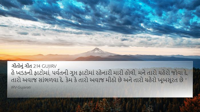 ગીતોનું ગીત 2:14 GUJIRV Bible Verse Image