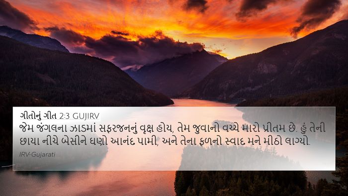 ગીતોનું ગીત 2:3 GUJIRV Bible Verse Image
