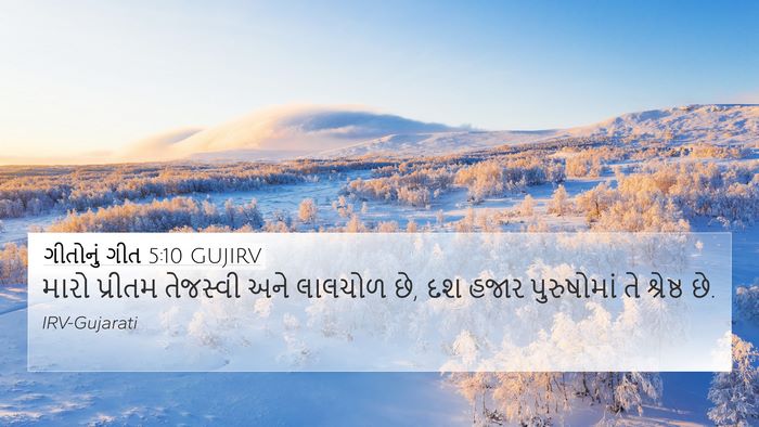 ગીતોનું ગીત 5:10 GUJIRV Bible Verse Image