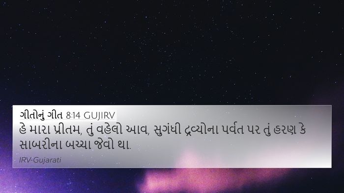 ગીતોનું ગીત 8:14 GUJIRV Bible Verse Image