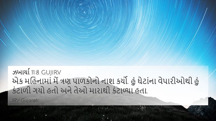 ઝખાર્યા 11:8 GUJIRV Bible Verse Image