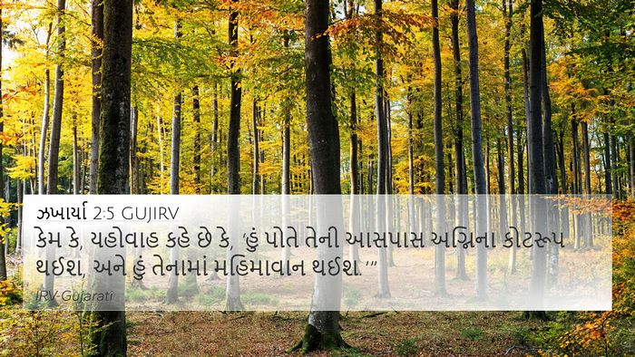 ઝખાર્યા 2:5 GUJIRV Bible Verse Image