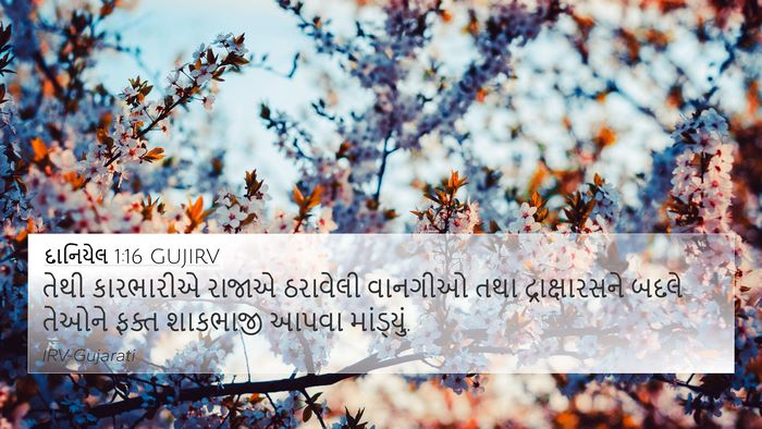 દાનિયેલ 1:16 GUJIRV Bible Verse Image
