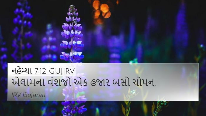 નહેમ્યા 7:12 GUJIRV 4K Wallpaper - એલામના વંશજો એક - 4K Wallpaper Bible Verse