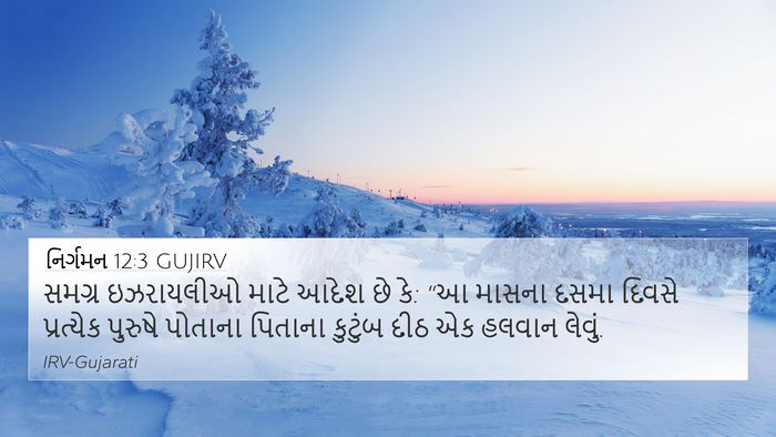નિર્ગમન 12:3 GUJIRV Bible Verse Image