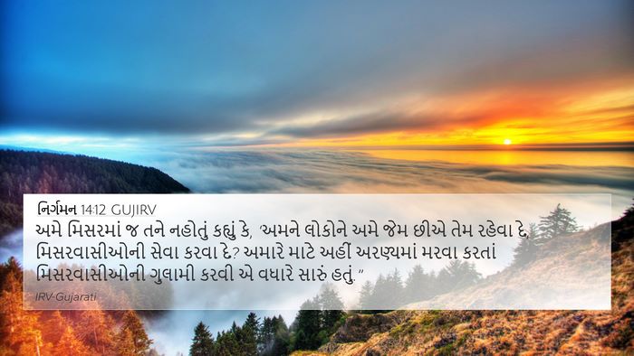 નિર્ગમન 14:12 GUJIRV Bible Verse Image