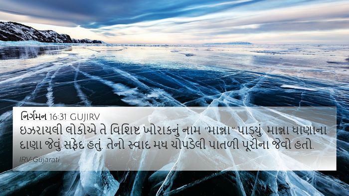 નિર્ગમન 16:31 GUJIRV Bible Verse Image