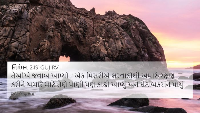 નિર્ગમન 2:19 GUJIRV Bible Verse Image