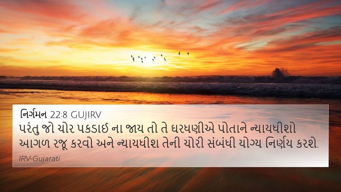 નિર્ગમન 22:8 GUJIRV Bible Verse Image