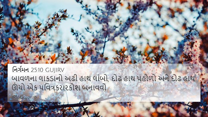 નિર્ગમન 25:10 GUJIRV Bible Verse Image