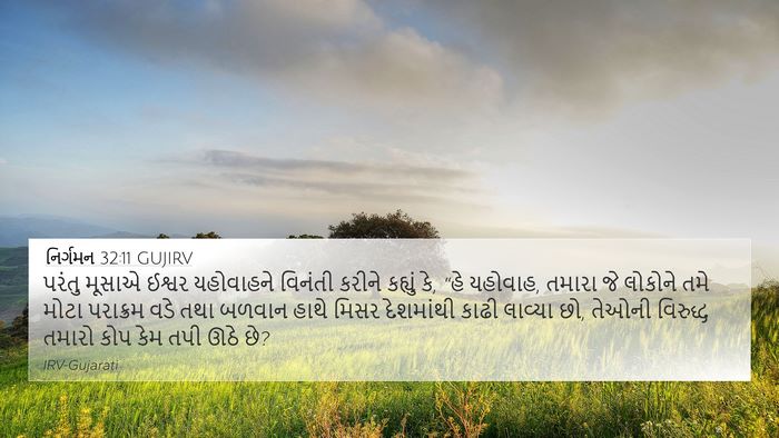 નિર્ગમન 32:11 GUJIRV Bible Verse Image