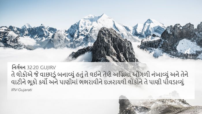 નિર્ગમન 32:20 GUJIRV Bible Verse Image