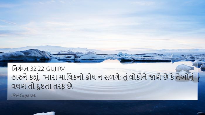 નિર્ગમન 32:22 GUJIRV Bible Verse Image