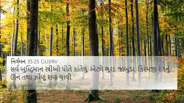 નિર્ગમન 35:25 GUJIRV Bible Verse Image