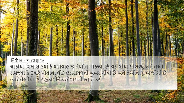 નિર્ગમન 4:31 GUJIRV Bible Verse Image
