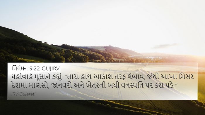 નિર્ગમન 9:22 GUJIRV Bible Verse Image
