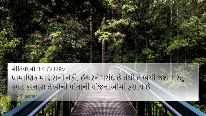 નીતિવચનો 11:6 GUJIRV Bible Verse Image