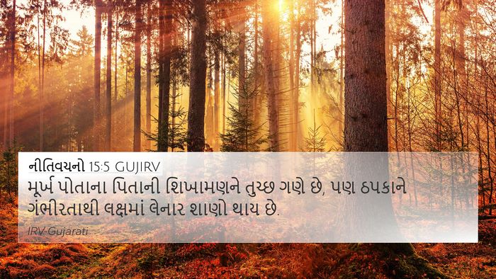 નીતિવચનો 15:5 GUJIRV Bible Verse Image