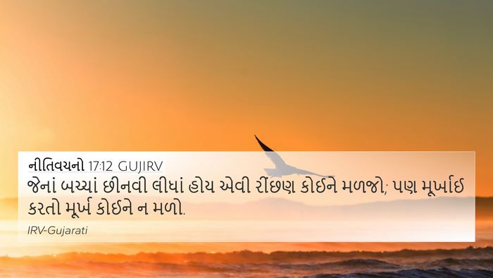 નીતિવચનો 17:12 GUJIRV Bible Verse Image