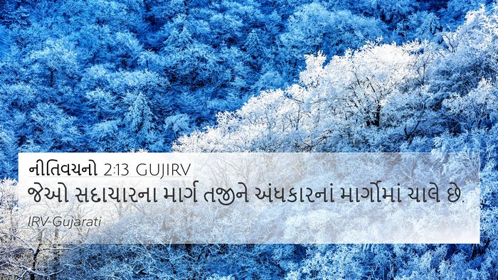 નીતિવચનો 2:13 GUJIRV Bible Verse Image