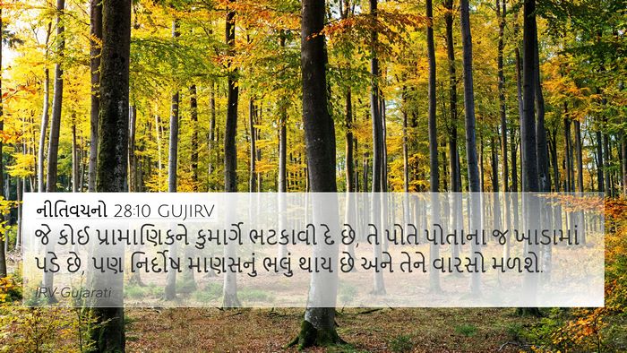 નીતિવચનો 28:10 GUJIRV Bible Verse Image