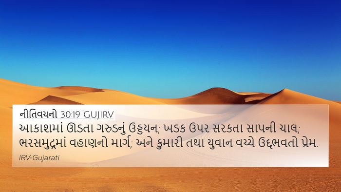 નીતિવચનો 30:19 GUJIRV 4K Wallpaper - આકાશમાં ઊડતા - 4K Wallpaper Bible Verse
