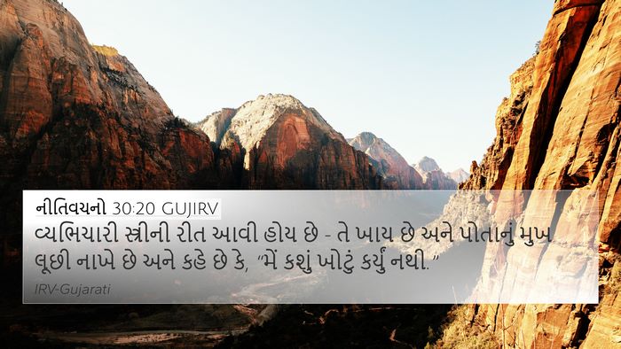 નીતિવચનો 30:20 GUJIRV Bible Verse Image