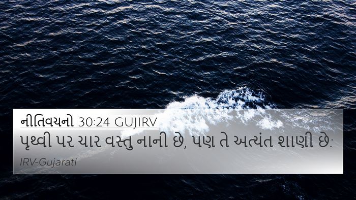 નીતિવચનો 30:24 GUJIRV 4K Wallpaper - પૃથ્વી પર ચાર - 4K Wallpaper Bible Verse
