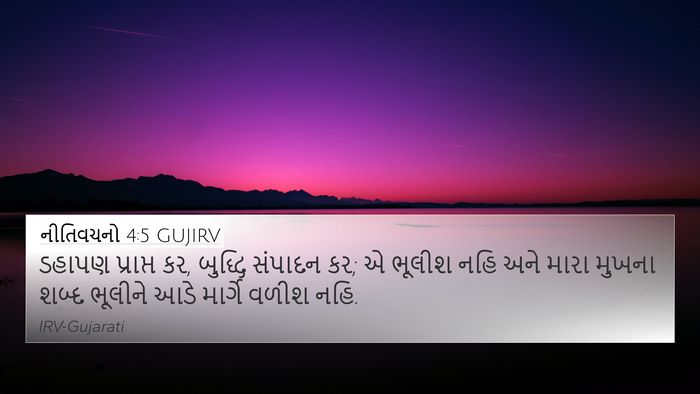 નીતિવચનો 4:5 GUJIRV Bible Verse Image