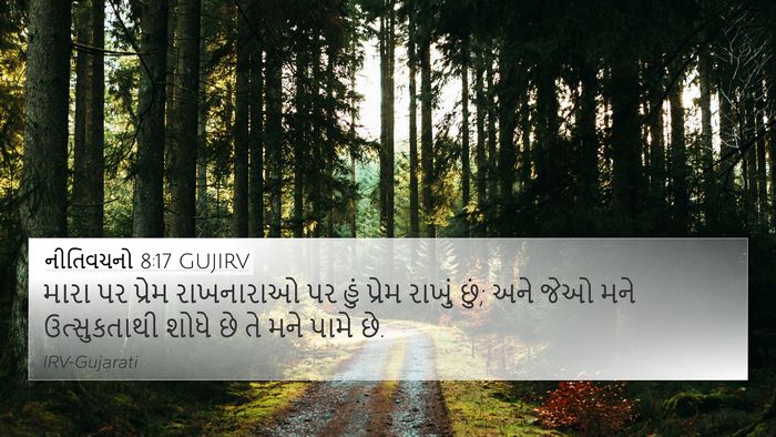 નીતિવચનો 8:17 GUJIRV Bible Verse Image