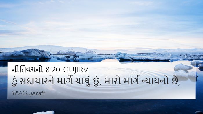 નીતિવચનો 8:20 GUJIRV Bible Verse Image