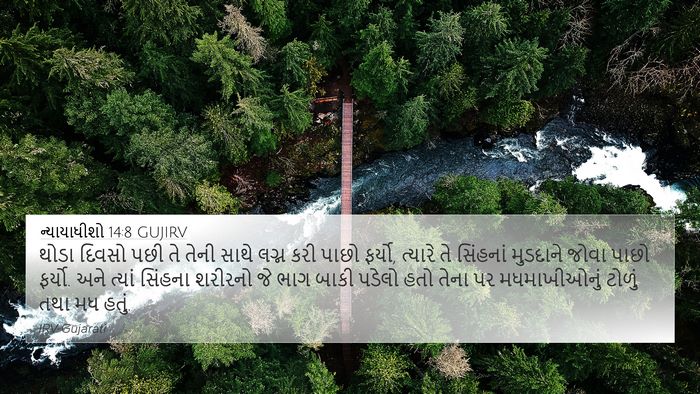 ન્યાયાધીશો 14:8 GUJIRV Bible Verse Image