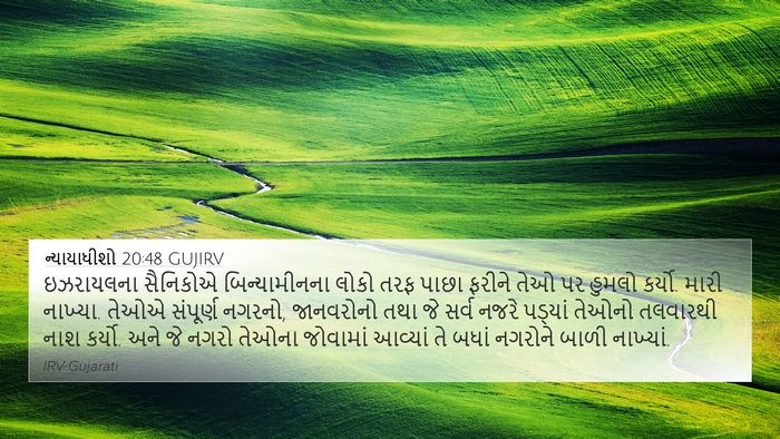 ન્યાયાધીશો 20:48 GUJIRV Bible Verse Image